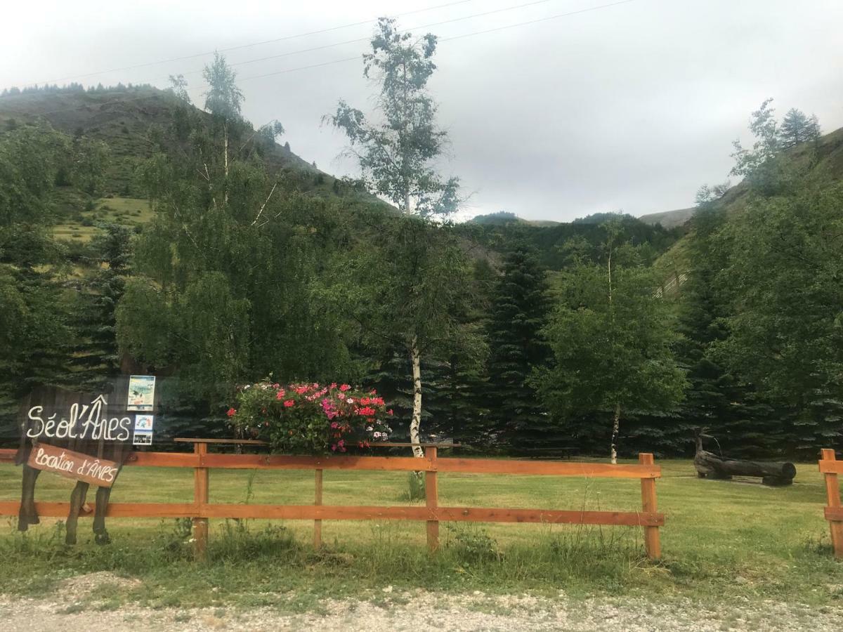 Studio Chaleureux A La Foux D'Allos Bagian luar foto